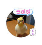 インコのスタンプ《その2》（個別スタンプ：33）