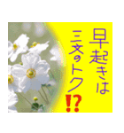 日本のコトワザ（個別スタンプ：9）