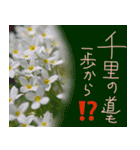 日本のコトワザ（個別スタンプ：22）