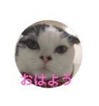豆粒まるモコ（個別スタンプ：2）