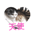 豆粒まるモコ（個別スタンプ：15）