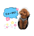 ポコすたんぷ#001（個別スタンプ：1）