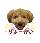 ポコすたんぷ#001（個別スタンプ：2）