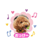 ポコすたんぷ#001（個別スタンプ：3）