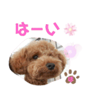 ポコすたんぷ#001（個別スタンプ：5）