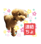 ポコすたんぷ#001（個別スタンプ：9）
