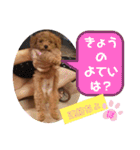 ポコすたんぷ#001（個別スタンプ：10）