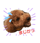 ポコすたんぷ#001（個別スタンプ：16）
