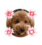 ポコすたんぷ#001（個別スタンプ：18）