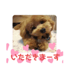 ポコすたんぷ#001（個別スタンプ：19）
