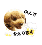 ポコすたんぷ#001（個別スタンプ：22）