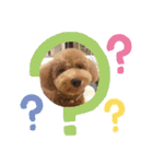 ポコすたんぷ#001（個別スタンプ：23）