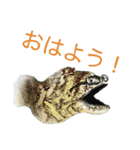 かいよーけんスタンプ（個別スタンプ：4）
