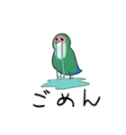 インコトリオ（個別スタンプ：3）
