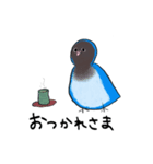 インコトリオ（個別スタンプ：5）