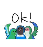 インコトリオ（個別スタンプ：7）