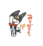 お茶目なmix白黒ぶちワンコ（立ち耳）（個別スタンプ：3）