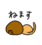 2匹のキジトラ2（個別スタンプ：1）