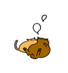 2匹のキジトラ2（個別スタンプ：6）