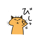 2匹のキジトラ2（個別スタンプ：20）