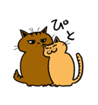 2匹のキジトラ2（個別スタンプ：24）