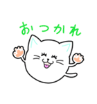 まんまる～い猫（個別スタンプ：31）