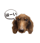 ふじえまっくすたんぷ2（個別スタンプ：6）