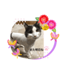 じるたそじるたそじるたそ（個別スタンプ：7）