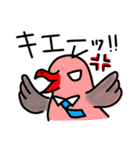 カモメのカモミール3（個別スタンプ：14）