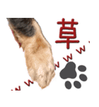 ダックスのくーさん(ヲタクVer.)（個別スタンプ：6）