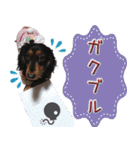 ダックスのくーさん(ヲタクVer.)（個別スタンプ：25）