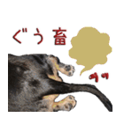 ダックスのくーさん(ヲタクVer.)（個別スタンプ：38）