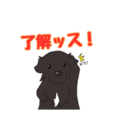 しぶごえ御宿海岸 ワンズスタンプ！（個別スタンプ：6）