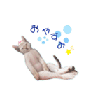 ルナ＆メイ(日常ver.)（個別スタンプ：3）