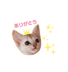 ルナ＆メイ(日常ver.)（個別スタンプ：4）