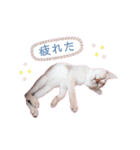 ルナ＆メイ(日常ver.)（個別スタンプ：12）