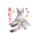 ルナ＆メイ(日常ver.)（個別スタンプ：19）
