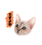 ルナ＆メイ(日常ver.)（個別スタンプ：20）