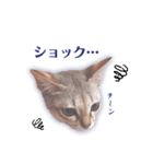 ルナ＆メイ(日常ver.)（個別スタンプ：21）
