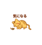糸目の甘えん坊ネコ（個別スタンプ：11）