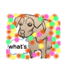 犬達の会話。（個別スタンプ：4）