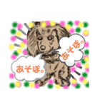 犬達の会話。（個別スタンプ：8）