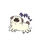 パグの夢（個別スタンプ：3）