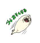 パグの夢（個別スタンプ：6）