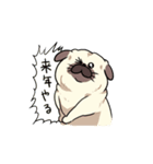 パグの夢（個別スタンプ：31）