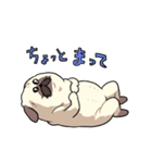 パグの夢（個別スタンプ：38）