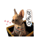 Booの毎日❤4（個別スタンプ：16）