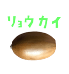 どんぐり B と 手書き風文字（個別スタンプ：12）