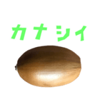 どんぐり B と 手書き風文字（個別スタンプ：21）