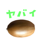 どんぐり B と 手書き風文字（個別スタンプ：24）